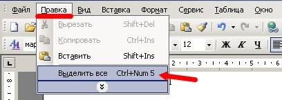 Войдите в меню Правка и выберите пункт Выделить все.