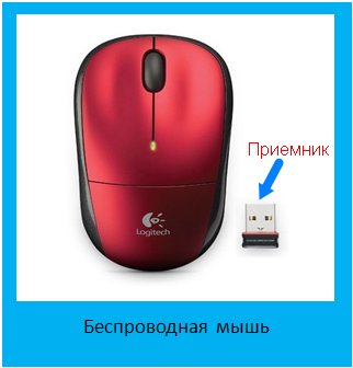 Чтобы кошка не съела, подключи беспроводную мышь Технические вопросы