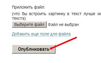 Как увеличить посещаемость сайта с помощью Subscribe