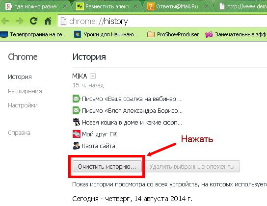 Нажмите на большую кнопку Очистить историю.
