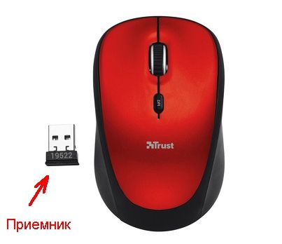 Беспроводная мышка работает от батареек через специальный маленький приемник, который подключается к USB-порту ноутбука.