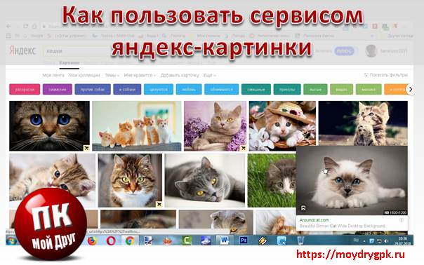 Сервис яндекс картинки. Инструкция по поиску и скачиванию картинок Интернет