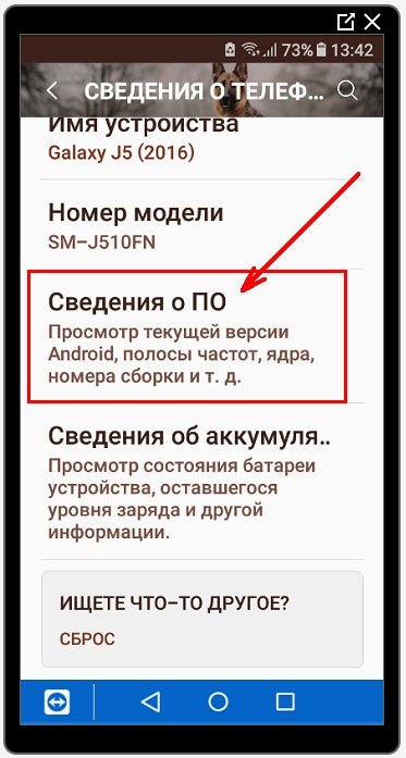 Находим раздел «Сведения о ПО» и открываем его