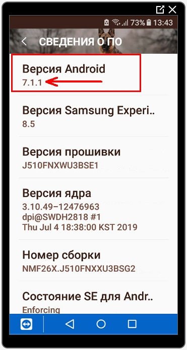 Сразу вверху будет строка «Версия Android»