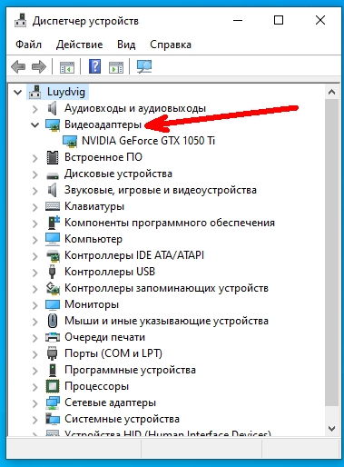 В диспетчере устройств разверните вкладку «Видеоадаптеры».
