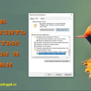 Как отобразить скрытые файлы в Windows 10 Windows 10
