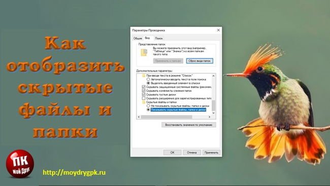 Как отобразить скрытые файлы в Windows 10 Windows 10
