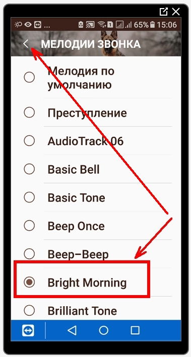 Выбираем мелодию и устанавливаем на неё переключатель