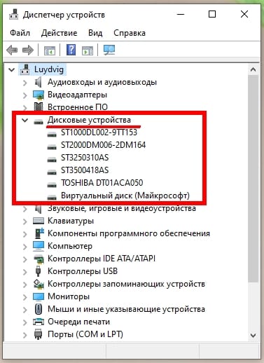 Открываем раздел «Дисковые устройства».